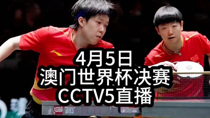 中央五台现场直播世界杯